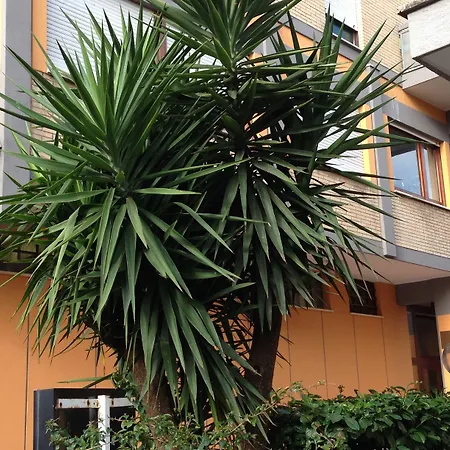 Hotel San Michele Aprilia